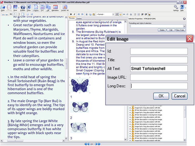Alt text Small Tortoiseshell entered in Edit Image dialogue box