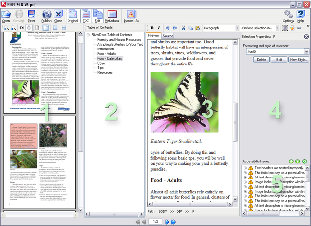RiverDocs Converter main screen showing Original, TOC, Editing, Accessibility Issues and Properties view panes