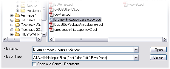 Open File dialogue box - file selected for conversion.